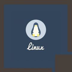 Enterprise Linux Systems Administration (L-250)