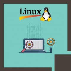 Linux Kernel Debugging and Security (LFD440)