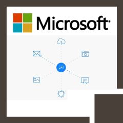 Microsoft Flow (MS-55268)