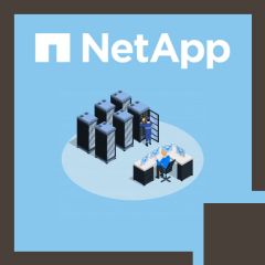 ONTAP Cluster Administration (ONTAP 9.9) (ONTAP9ADM)