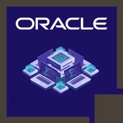 Oracle BI 11g R1: Build Repositories LVC (BR-LVC)