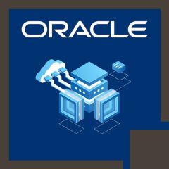 Oracle BI 12c: Build Repositories (OR-12c-BR)