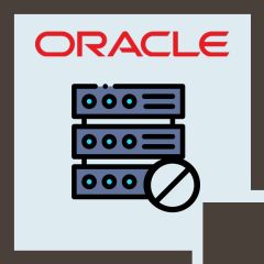 Oracle Essbase 11.1.2: Calculate Block Storage Databases (11.1.2.3) (OR-ESS-CBSD)