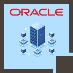 Oracle Essbase 11.1.2: Deploy Aggregate Storage Databases (OR-ESS-DASD)