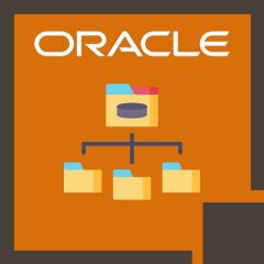 Oracle Essbase Studio 11.1.2: Create & Manage Data Structures (11.1.2.2) (OR-ESS-C&MDS)