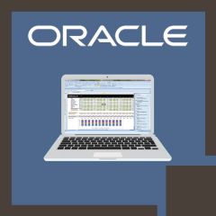 Oracle Smart View for Office 11.1.2 for Essbase (OR-SVO)