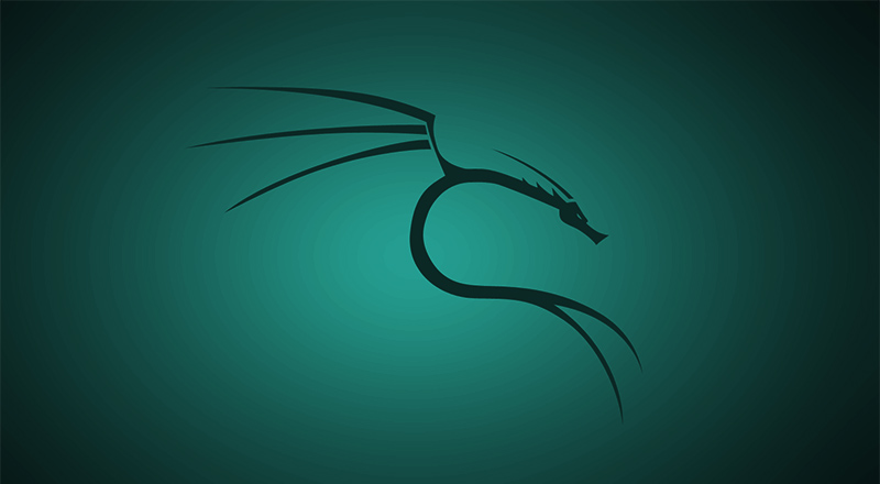 A Beginner's Guide to Kali Linux Getting Started