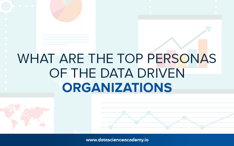 What Are the Top Personas of Data-Driven Organizations?
