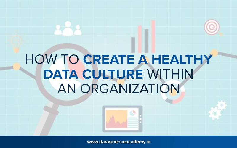 How to Create a Healthy Data Culture Within An Organization